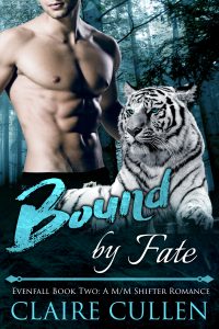 Book Cover: Bound by Fate