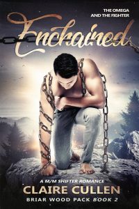 Book Cover: Enchained