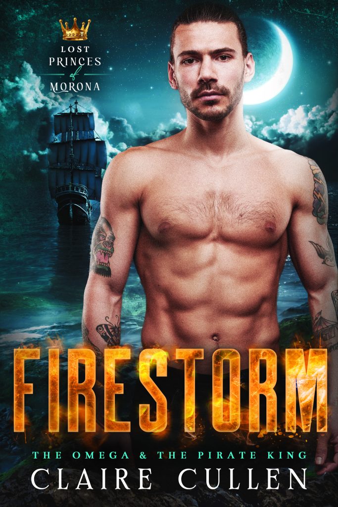 Book Cover: Firestorm