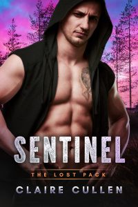 Book Cover: Sentinel