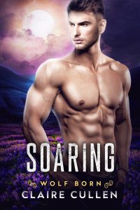 Book Cover: Soaring