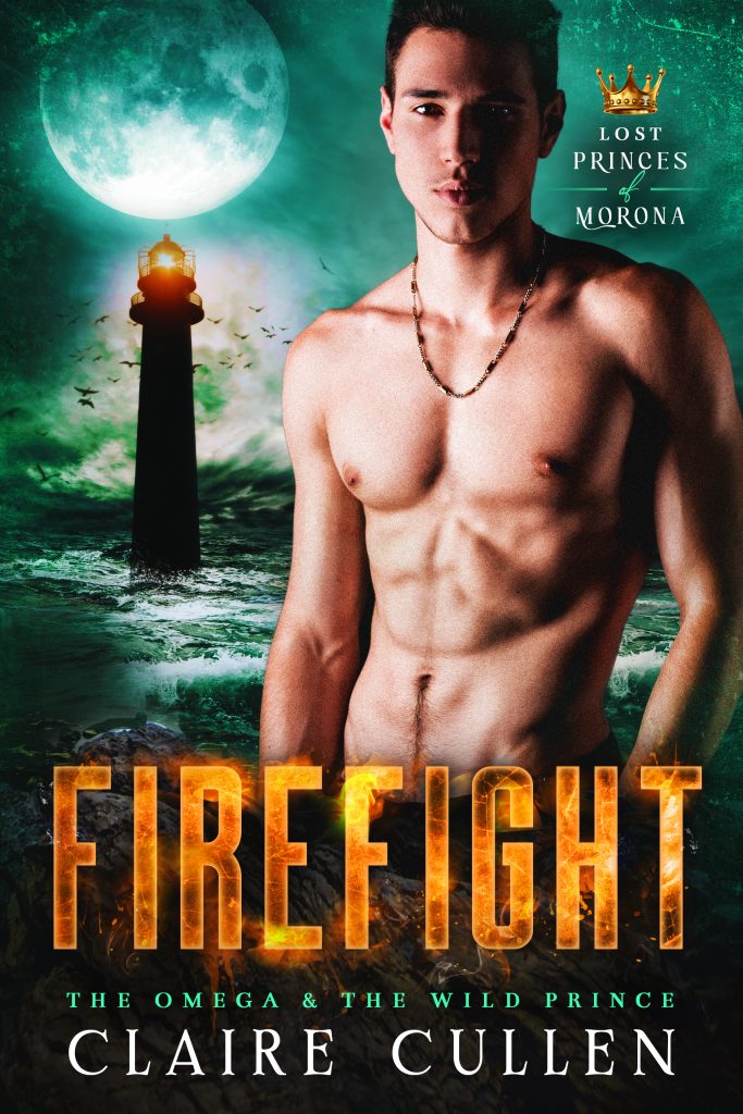 Book Cover: Firefight